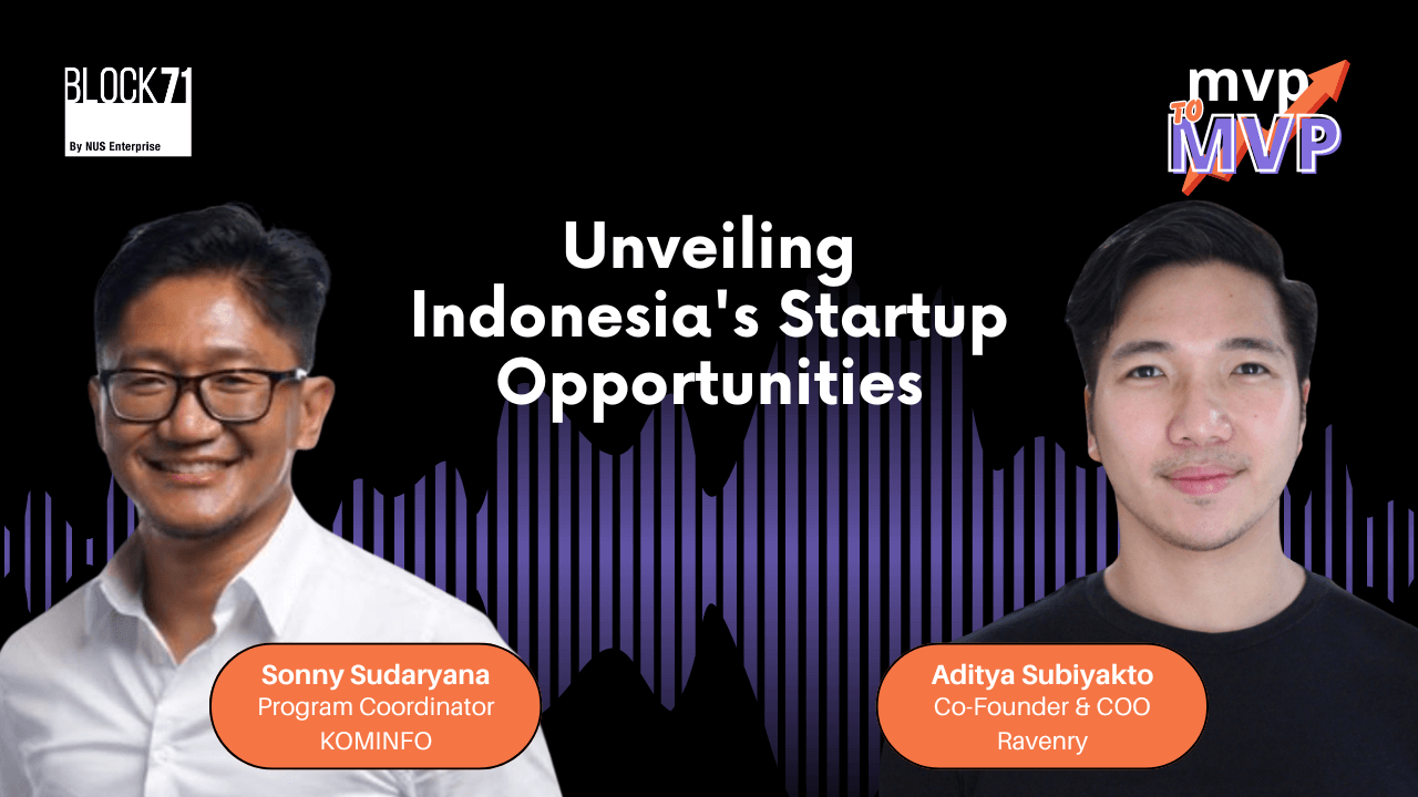 Unveiling Indonesia’s Startup Opportunities