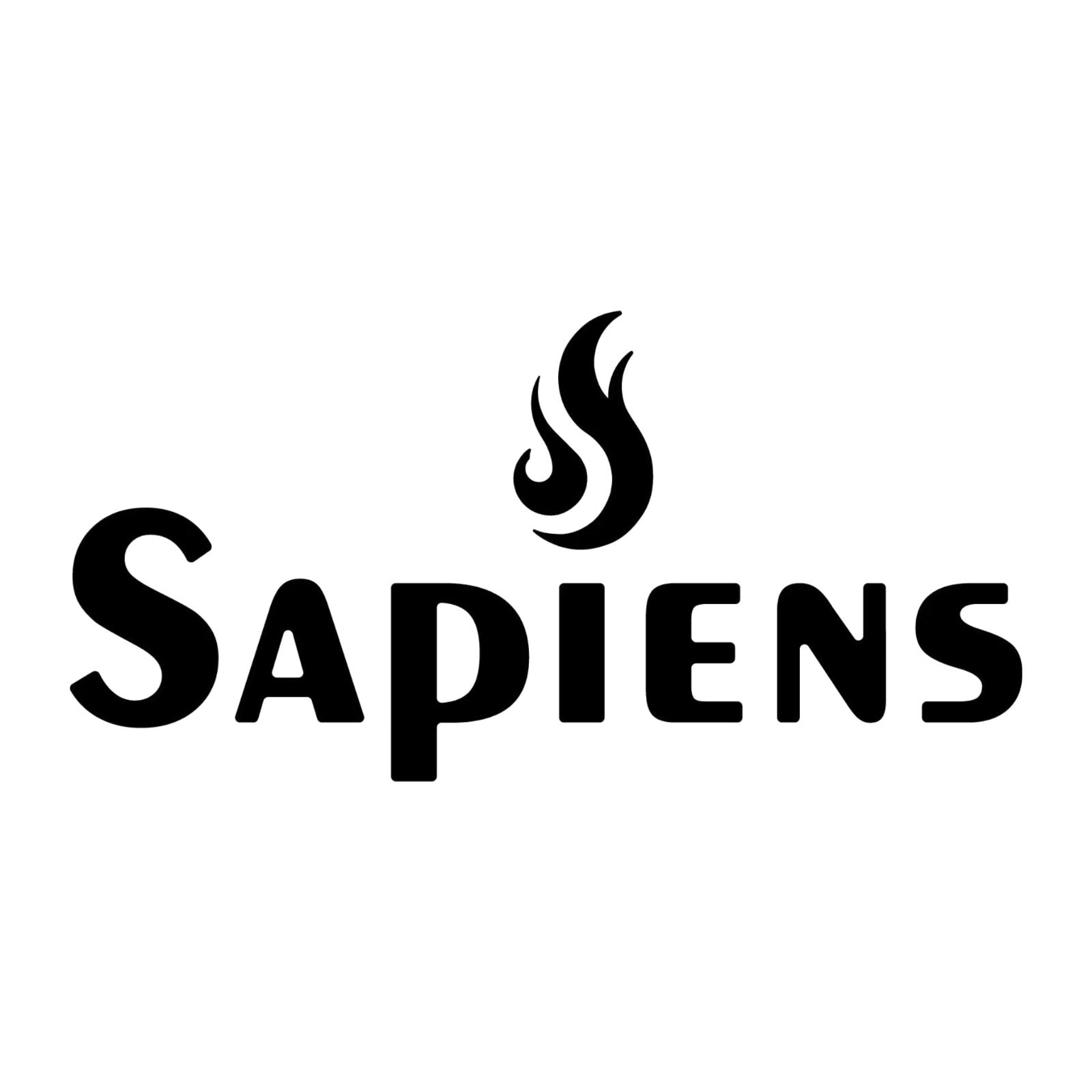 Singapore Sapiens Technology Pte. Ltd.